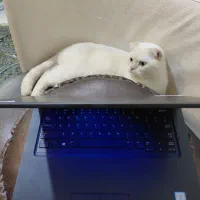 فروش لپتاپ DELL Latitude 5490|رایانه همراه|تبریز, |دیوار