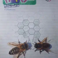 کتاب کار علوم خیلی سبز