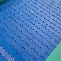 دستگاه نوار دست چین حبوبات و بادام زمینی|ماشین‌آلات صنعتی|باسمنج, |دیوار