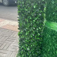 فنس برگی