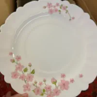 سرویس غذاخوری ۲۵ پارچه
