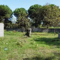 فروش-ویژه-زمین-350-متری-در-مطقه-ساحلی