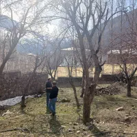 ۲۴۵ متر زمین منشاد