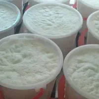 داچی ماس، ماست ، کره ، پنیر