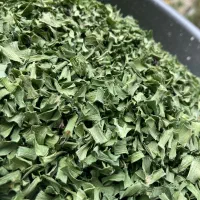 سبزی خشک خونگی|خوردنی و آشامیدنی|تهران, تهرانپارس غربی|دیوار