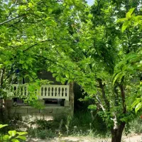 باغچه