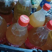 ابغوره امسالی خوشمزه ابغوره شیراز