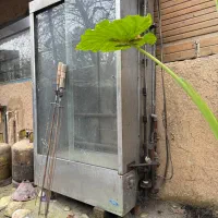 فروش جوجه گردان ۶ سیخه کارکرده