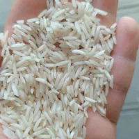 برنج هاشمی و نیم دانه خالص درجه یک|خوردنی و آشامیدنی|رشت, علی آباد|دیوار