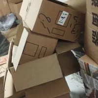 کارتن اساس کشی