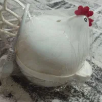 تخم مرغ اپزسالم