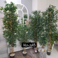 بامبو و بنجامین مصنوعی درختچه درخچه|گل مصنوعی|کرج, حصارک بالا|دیوار