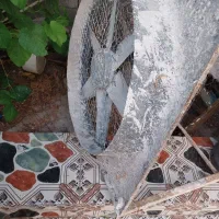 فن بزرگ