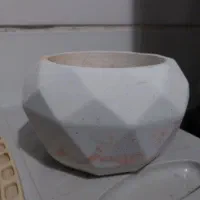 گلدان های شیک با کیفیت|گل و گیاه طبیعی|اراک, |دیوار