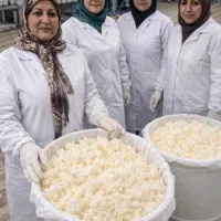 فروش کره گاوی دوغی،روغن زرد،تخم مرغ محلی