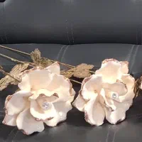 جشنواره فروش ویژه ظروف دکوری وارداتی ۱خرید ۱رایگان