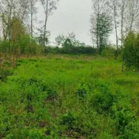 فروش زمین مسکونی در روشنابسر