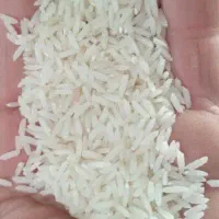 برنج هاشمی کیلویی ۴۴۰