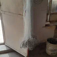 تورماهیگیری