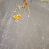 فروش تعدادی پرده با آستر|پرده، رانر، رومیزی|شیراز, معالی‌آباد|دیوار