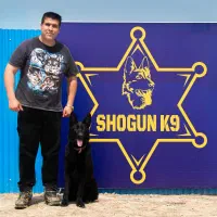 آموزش تخصصی سگ.|خدمات آموزشی|شهریار, کهنز|دیوار