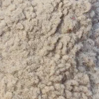 موکت
