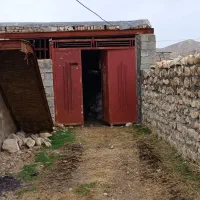 دامداری