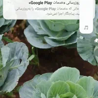 شرکت خدماتی و نظافتی سبلان پارس