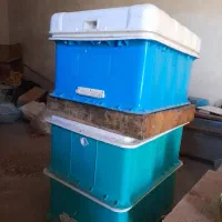 کندوی زنبور عسل فروشی