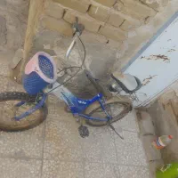 دوچرخه ۱۶|دوچرخه، اسکیت، اسکوتر|آران و بیدگل, |دیوار