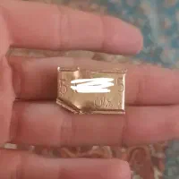 ۳۱.۵ گرم طلا