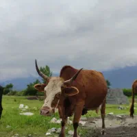 تور یک روزه