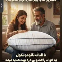 نمایندگی رسمی بالشت میکروفایبرنانو با الیاف کره ای