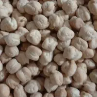 نخود درجه یک و تازه کردستان