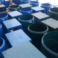 دستگاه پوست کن گردو و بادام موتور سنگوا ترکیه‌ای|ماشین‌آلات صنعتی|تهران, شهرک ولیعصر شمالی|دیوار
