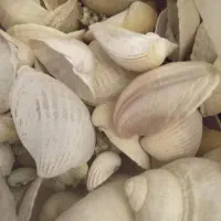 لوازم جانبی اکواریم|لوازم جانبی حیوانات|تهران, استقلال|دیوار