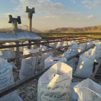 کود فله ای و تو صوله کبوتر|خدمات باغبانی و درختکاری|آبیک, |دیوار