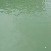 لوله کشی ،اجرا ،ساخت و پیمانکاری استخر سونا جکوزی|خدمات پیشه و مهارت|رشت, بازار|دیوار