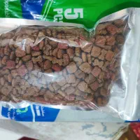 غذای سگ و پد حیوانات