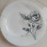 سرویس ارکوپال