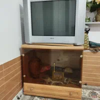 تلوزیون سونی 29 اینچ ژاپنی با میز و دستگاه دیجیتال