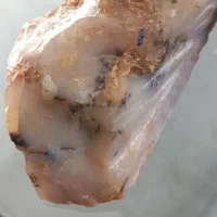سنگ شجر