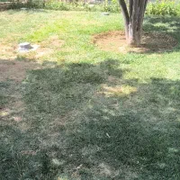 رهن و اجاره خانه ویلایی در بلوار جمهوری