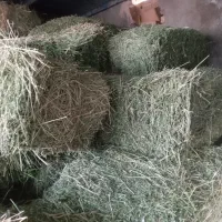 پرس یونجه|لوازم جانبی حیوانات|فیروزه, |دیوار