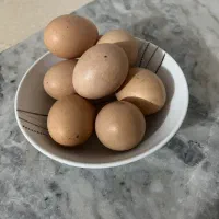 تخم مرغ محلی تازه
