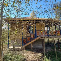 سوئیت و کلبه اجاره ایی با قیمت مناسب(امشب خالی)