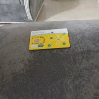 سیم کارت دایمی