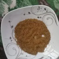 بذرقره یونچه|خدمات باغبانی و درختکاری|فیروزآباد (آذربایجان), |دیوار