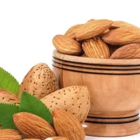 تولید نهال بادام شاهرودی|خدمات باغبانی و درختکاری|سامان, |دیوار