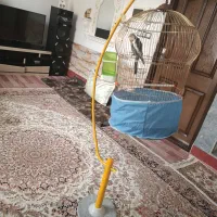 قفس با میله